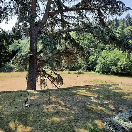 D'hotes Le Moulin Juste - Loire Frühstückspension Ambierle